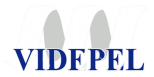 cropped videpel logo.png